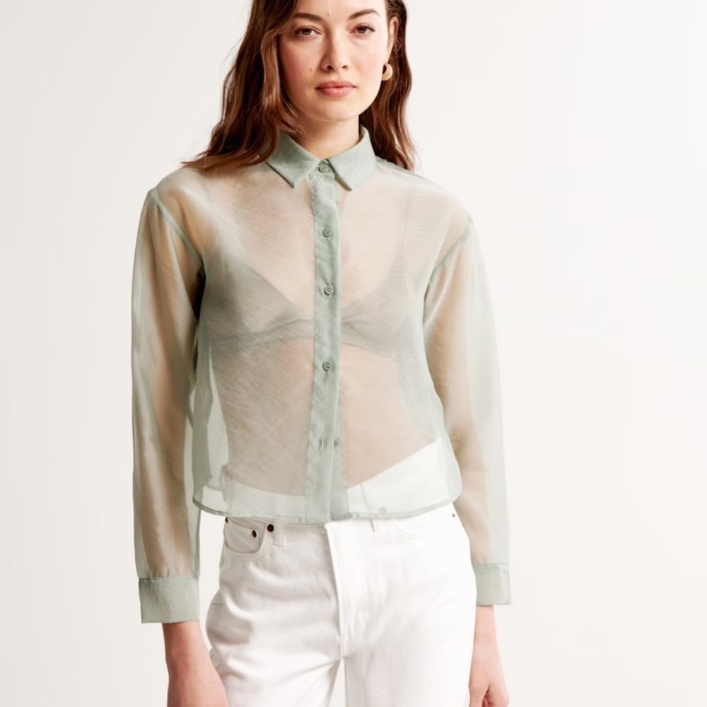 Abercrombie & Fitch Long-Sleeve Sheer Shirt